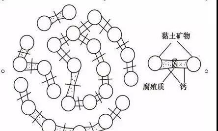 镁,锌等)连接团聚在一起,形成一种疏松多孔的土壤结构