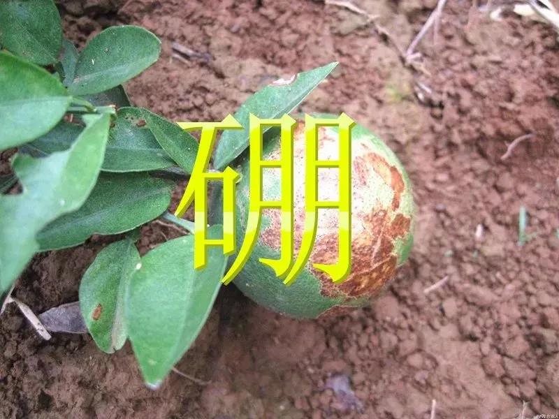 ��ȱ��Σ���󣡲����Դ�ȫ