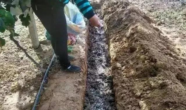 ��������һ��֮��������