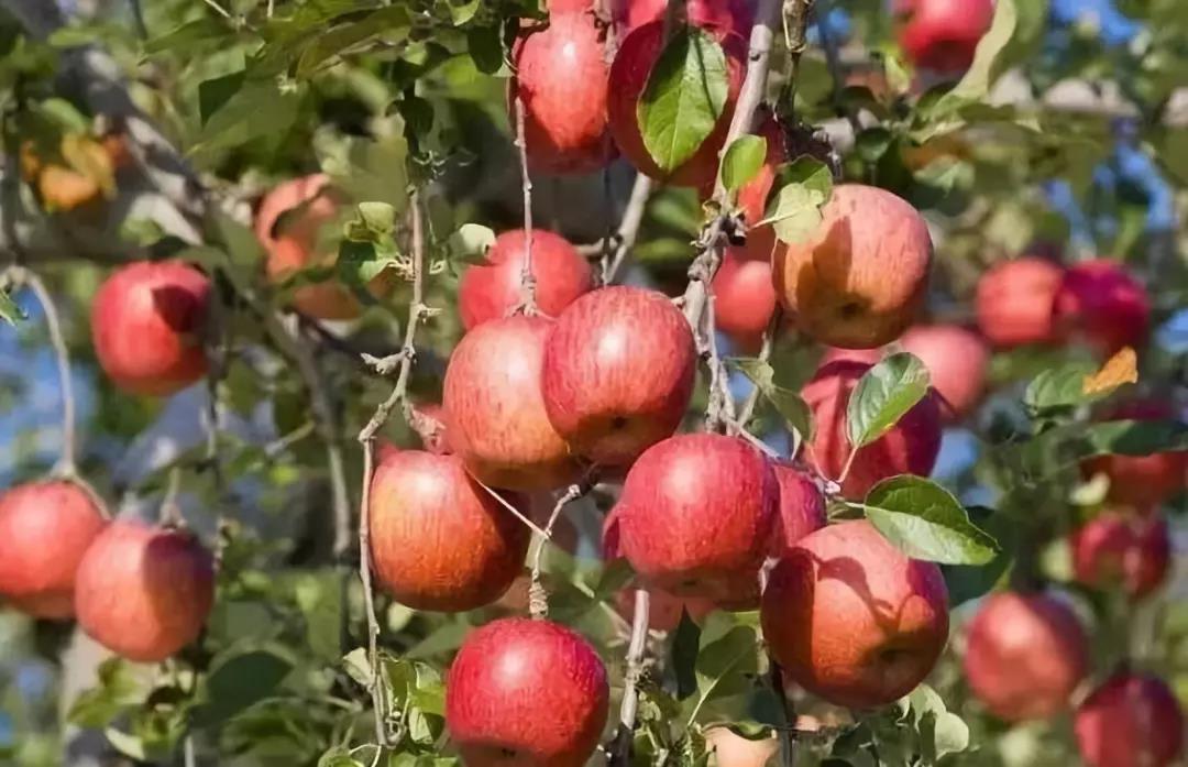 �����＾ʩ�ʣ�һ��Ҫ��ס������70%����֪���ĸϽ�����