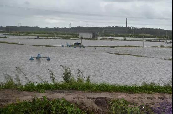 �＾�������٣���θ�Ч��ˮ��