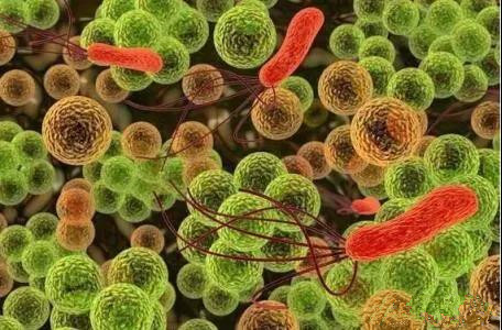 �����е�΢���ﵽ���ж�������