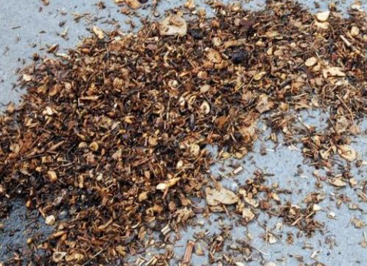 ̼����Դ����ҩ�������ѷʷ��͵�Ӱ��