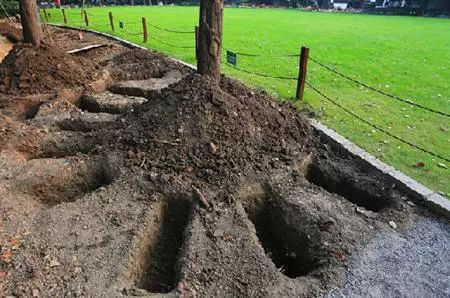 9�µ�����2�£��ƽ��澫ϸ�������˽⣡