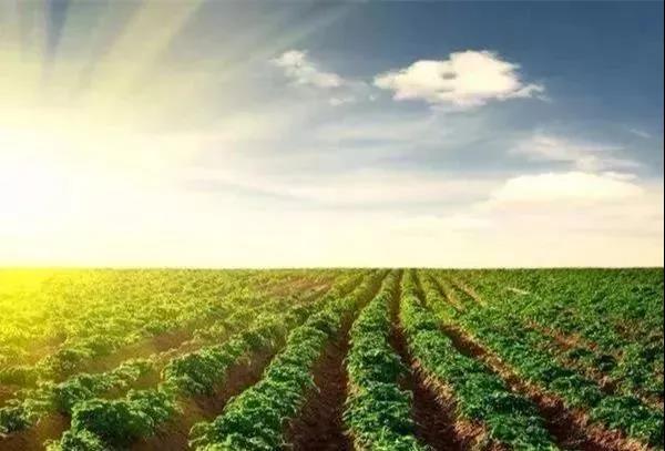 ΢������ϲ�Ʒ�еľ��������Ƿ�Խ��Խ�ã�