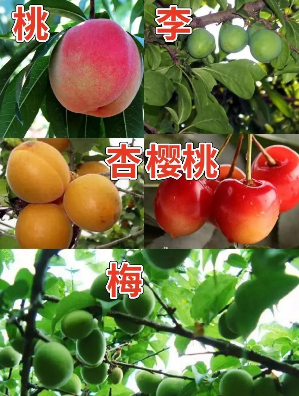 ��ʩ����2�����£�һ��Խ��Խ�ã������л��ʺ;���Ϊ��