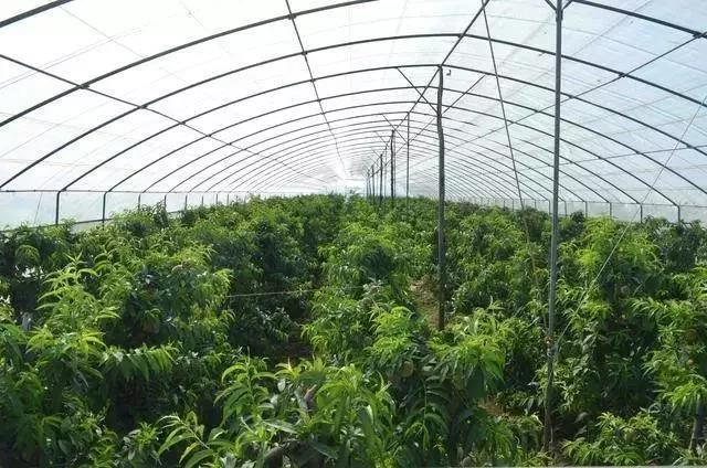 ��������Ҫ��������磬��ѧ���ܼ����ٲ���