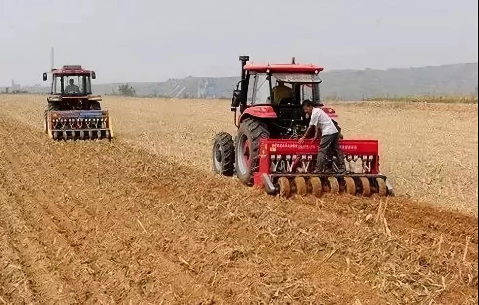 ɶ��С����ͷˮ��������ǰ�����ǲ��ֺ󽽣��ܶ��˶������ˣ�