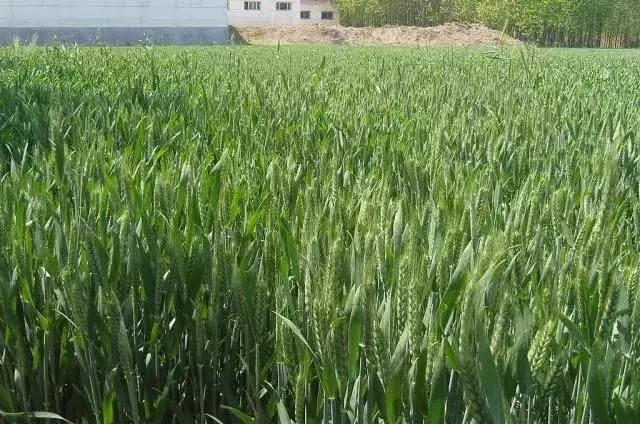 ����������С���ϵ����û��ơ�ʹ�÷���ȫ�����