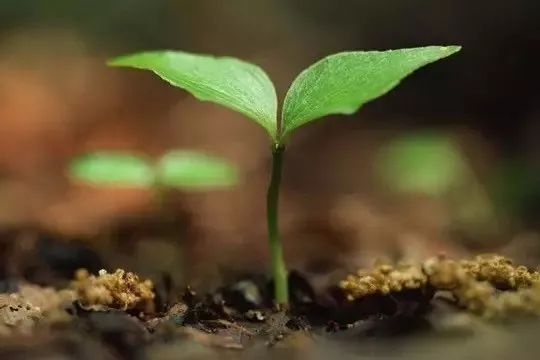 ΢�������������������з������õ�?