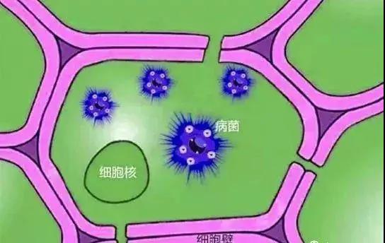 Ӫ�����ң�Ԥ�����񡪡���������ô���