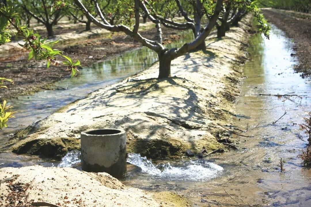 �����ⶳˮ����Ҫ��