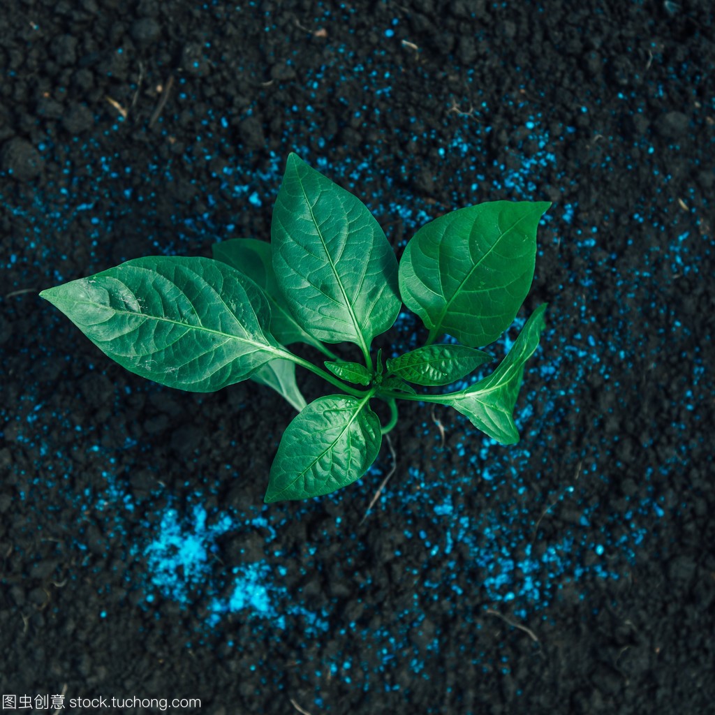 ����ֳ��ˮ�ܷ�