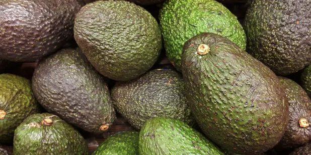 ��ȫӪ��ʩ�ʡ���ʲô���ö����ַ���-��������������������