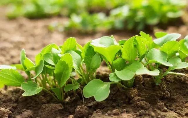 δ���Ļ��ʡ�����ʡ��л��ʽ�����ദ��