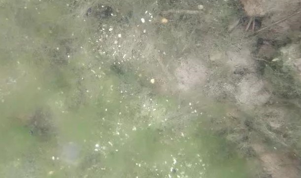 ��ֳ�����У����ø߻�ѿ�߸˾��������̦���⣡