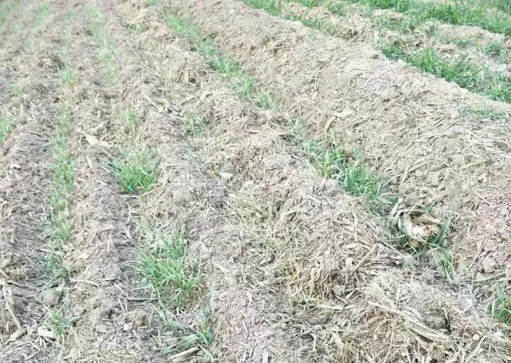 ����С�����⼯�д󱬷������硢�������࣡