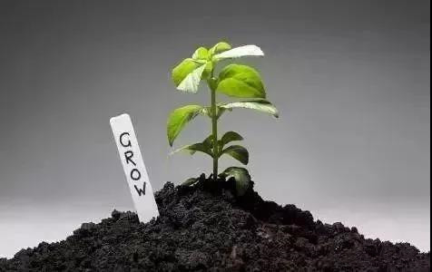 ���ࡢţ�ࡢ���ࡢ��࣬�����ĸ����ʺϵ����ϣ�