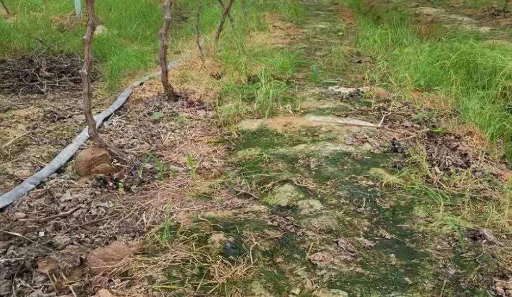 ����ǡ��л��ʡ���������ĵط�