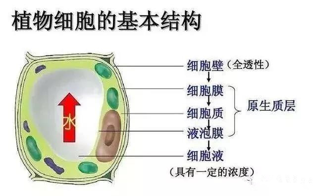 ��˵����ֲ�ᡱ�Ǻö������������һ�ν�����