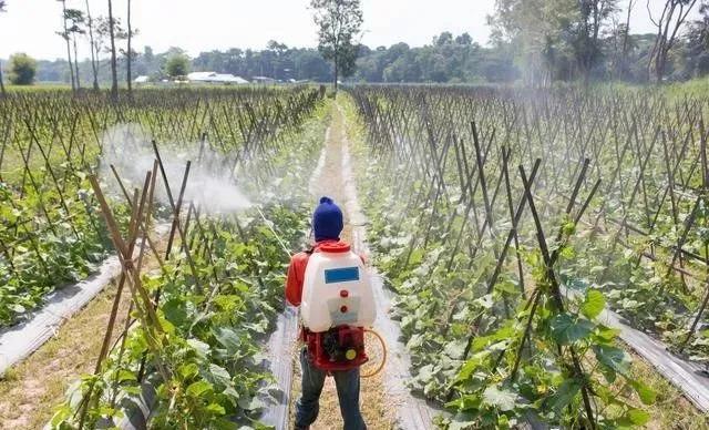 ����֮�����ʹ���н�������Ȼ�ᵼ�·�Ч���룬��������