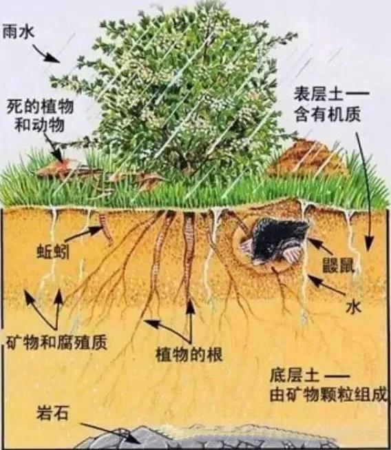 �����л��ʵ����ã�����Ҫ�˽���