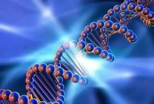 �����ᡢ���ġ��㵰�ף�99%�˶���֪�����е���Ļ��