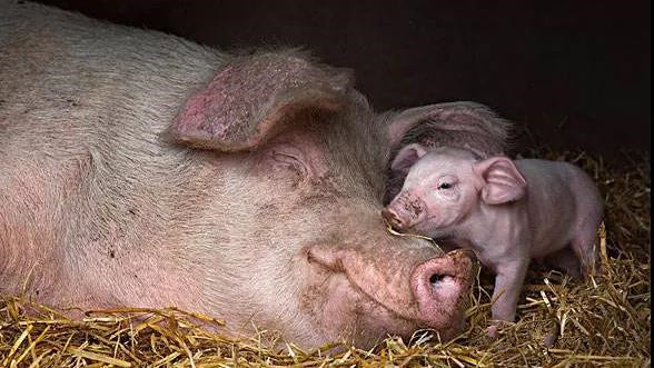 ĸ���ǽ��� �� �������� ������ֹ