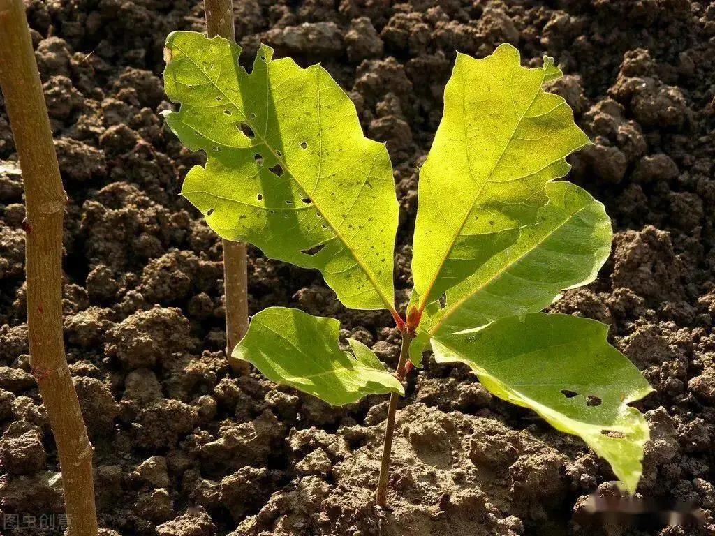 �����л��ʣ����ʾͱ����ˣ�