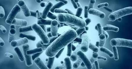 ����������ã���ᷢ����