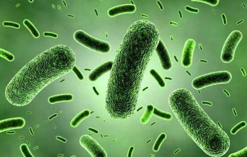 ������˾�