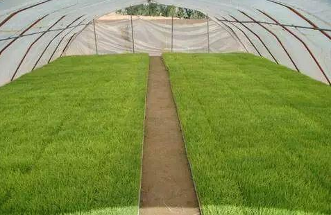 �絾��������Ҫ�����ķ���