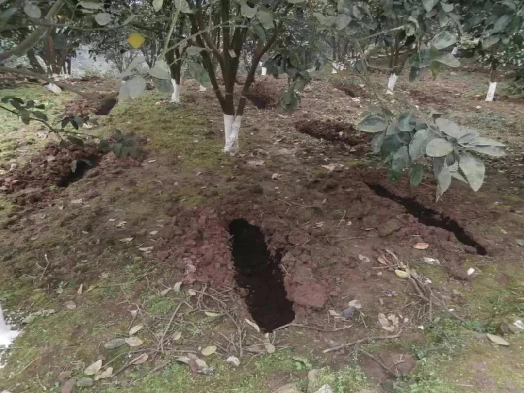 ����������˴�ȫ��