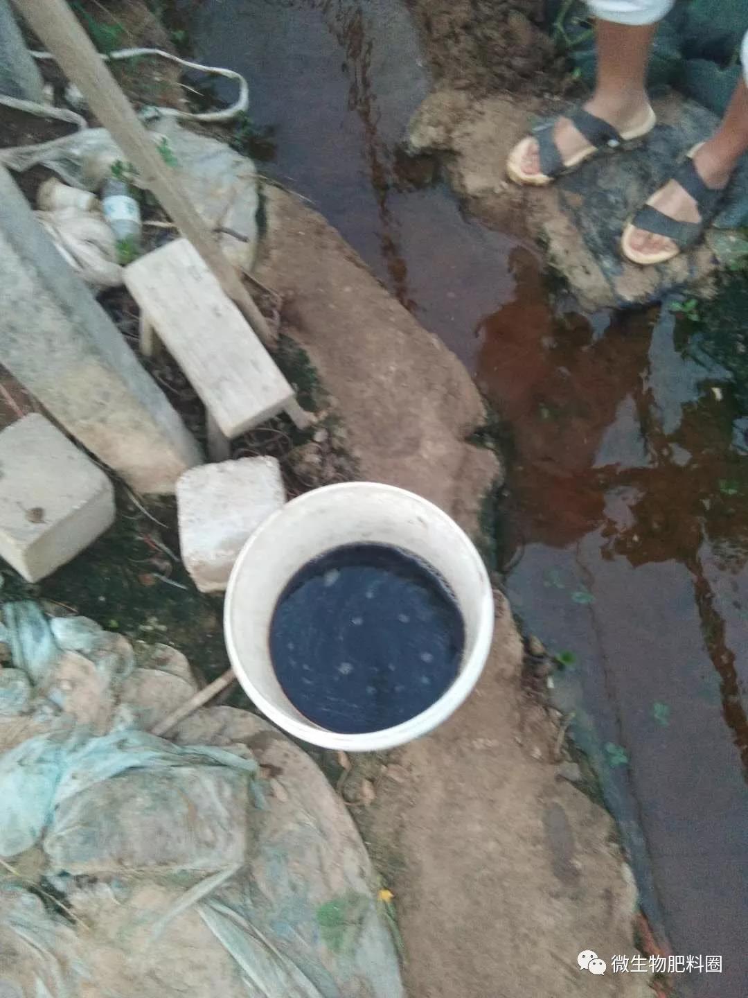 ���ʽ����ֵص���ѡ���ϣ�