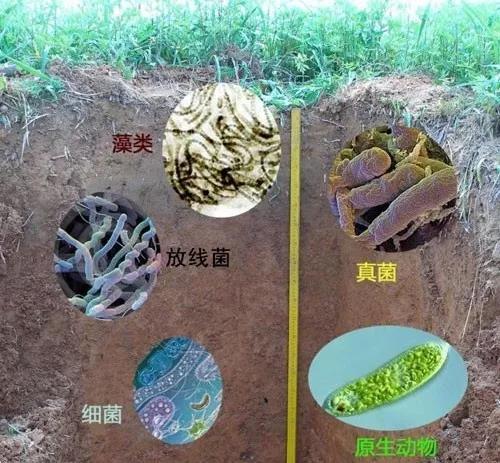 ΢������ϵ�5���������ݣ�