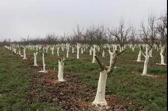 ��������������3������Ѿ����ģ���β��ȣ�