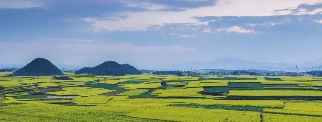 ��С�󴺼���ܹ������������㣡