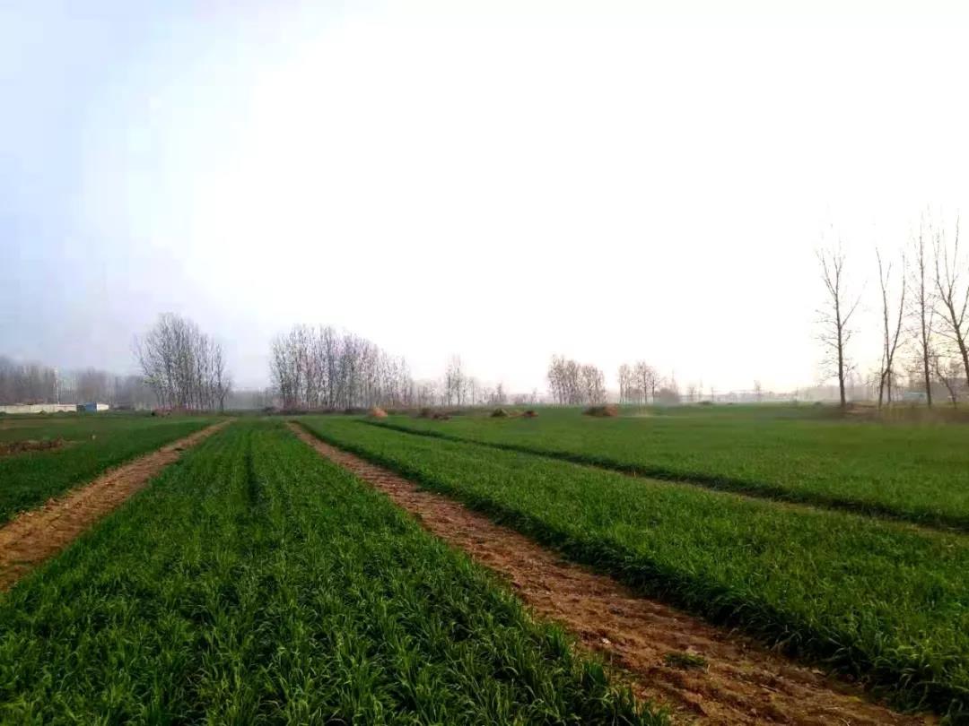 ����С�����ݼ�����Щϸ��һ��Ҫע�⣡