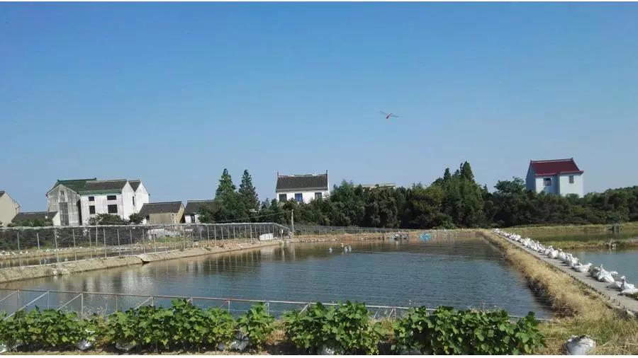 ���׷���������ô���Ĳ��õ���ô�죿