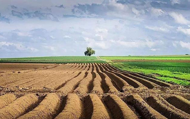 �����޸����˺ܶ��꣬Ϊʲô������ˣ�