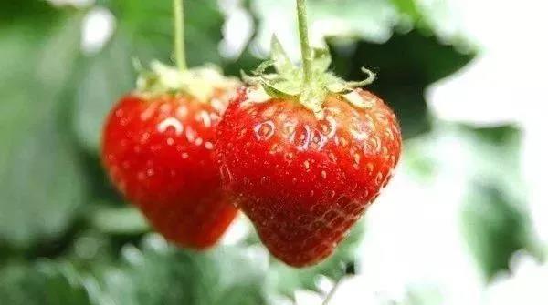 ��ù�ء�̦ܿ�ء���Ч���÷������