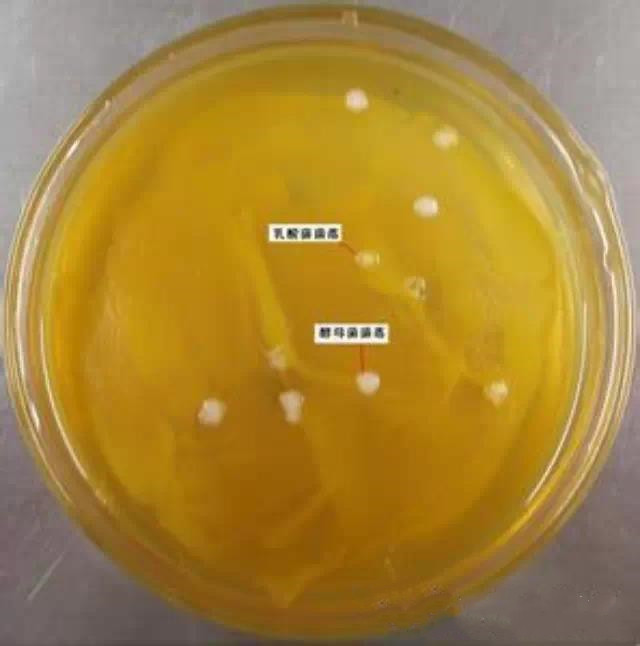 ΢������ֵ�ѡ������