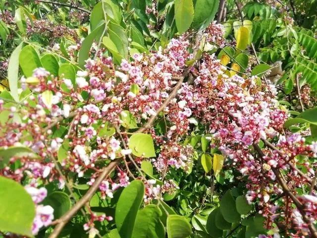 ���Ԥ��������������ʵ��������