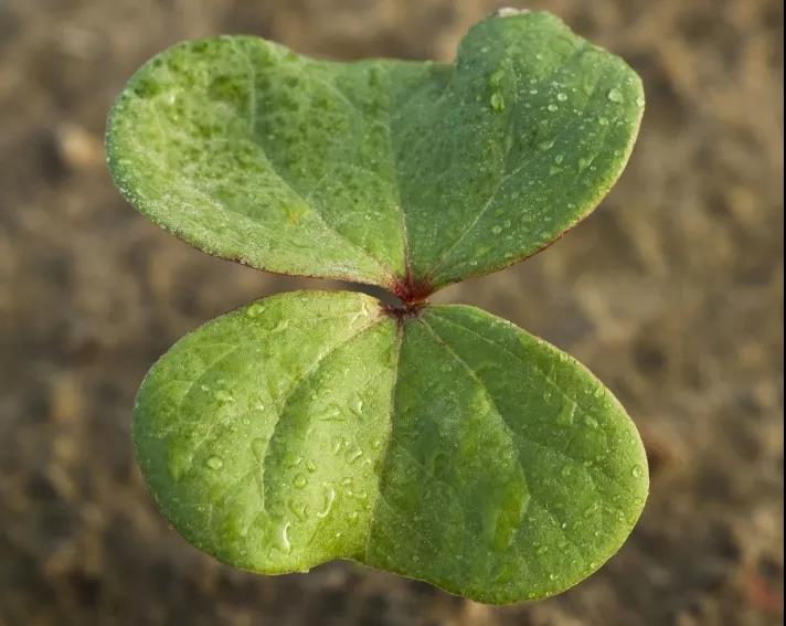 ΢��������������أ�