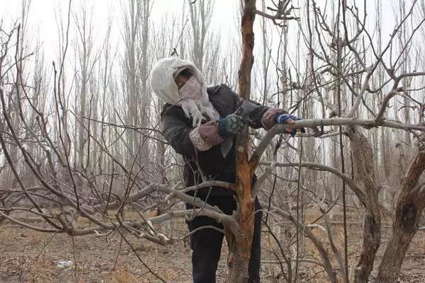 ����������԰����������Ҫ��