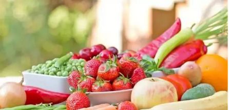 ȫ��24�����߲���ֲ���ű���¯������һ���æ��