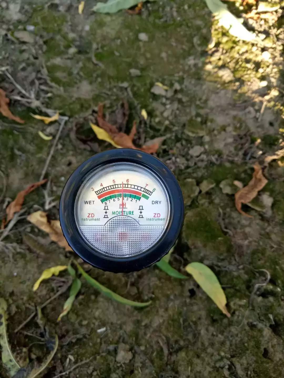 ��������ֲ�ᡢ΢���һ���������٣�