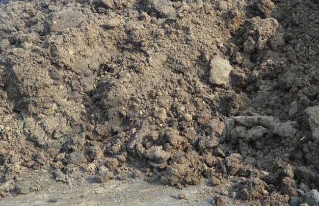 ��ũΪɶ˵��ţ�൱�˼ң���ɶ���״��൱�˼ң���������Ϲ��