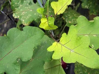 п����������������