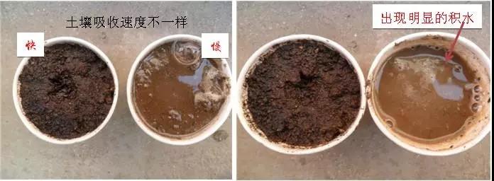 ����4�󼲲���90%���˶������ˣ�